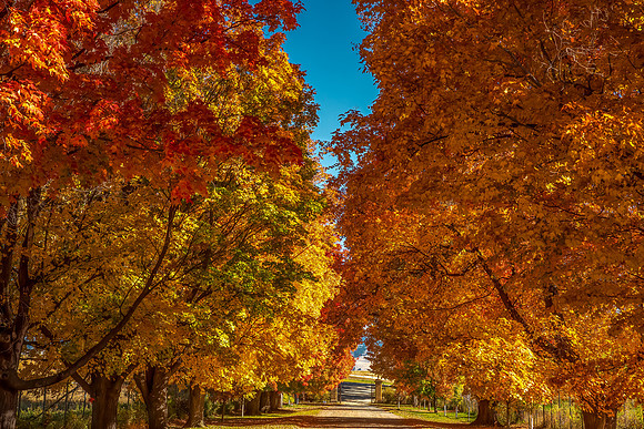 Fall in the Bitterroot 3746-Edit-2