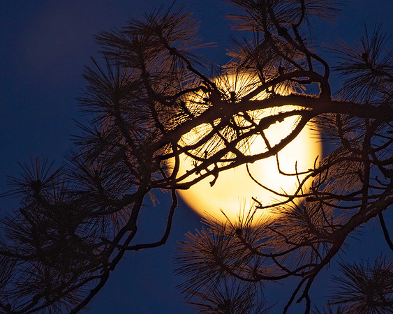 Moon Shot_8854