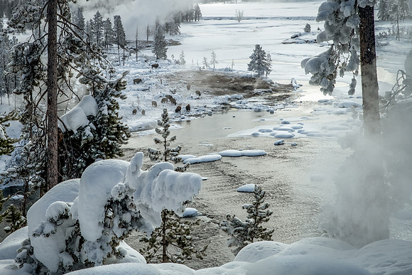 850_9343-Winter Bliss