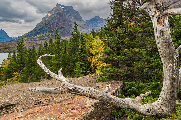 _DSC1287-Welcoming Fall