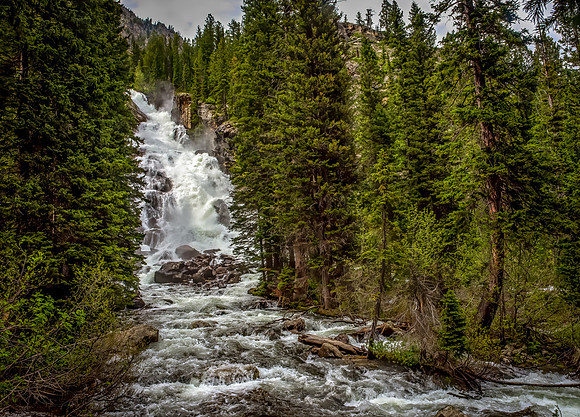 Hidden Falls 613-DSC_1039