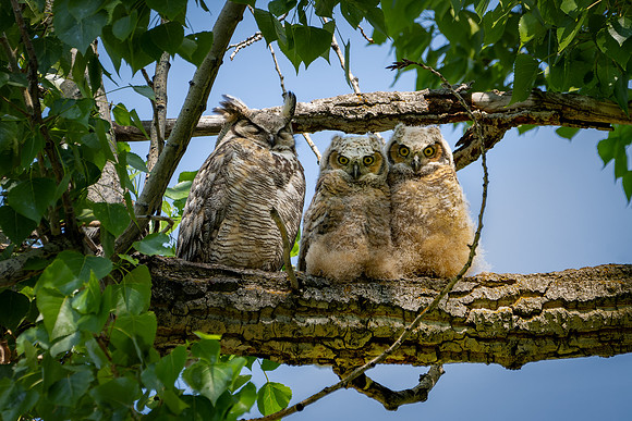 _DSC8432-"Mom, look!"