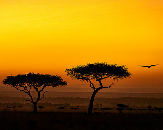850_6755-Master Sunset