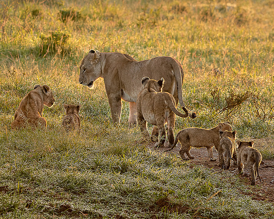 850_6974-Master Pride Family Time